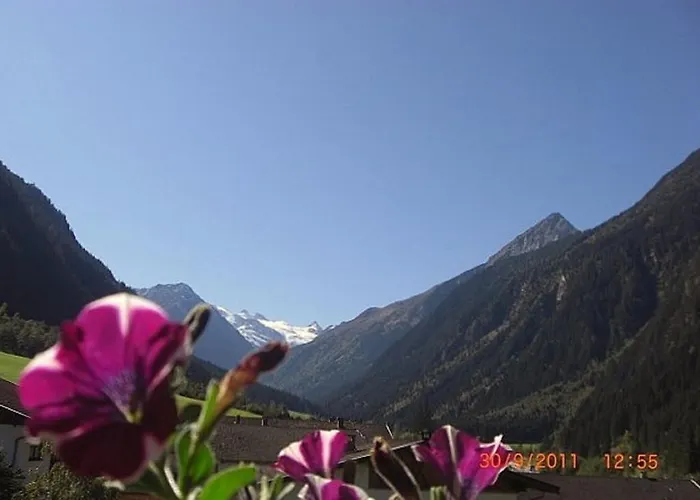 Fam. Gleinser Mirella