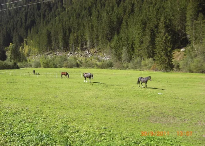 Lägenhet Fam. Gleinser Mirella *