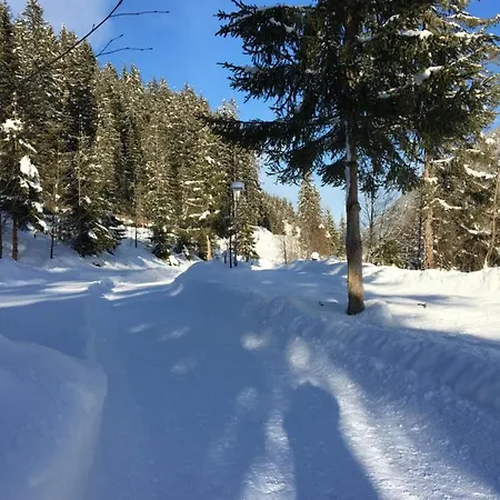 Appartement Fam. Gleinser Mirella